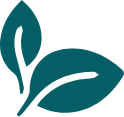 Logo: blends, ingredients, and natural flavors at Pagani.
